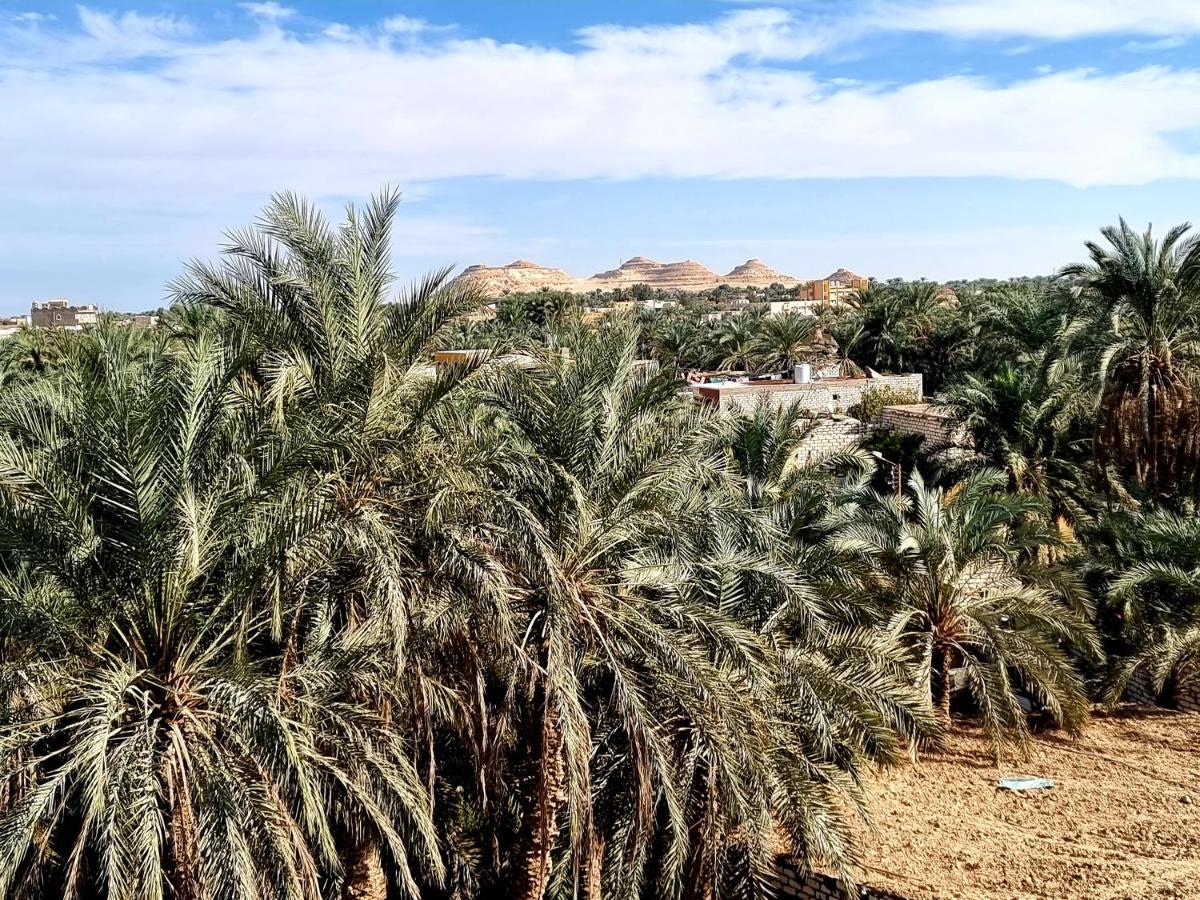 Quiet Home Siwa Oasis Εξωτερικό φωτογραφία